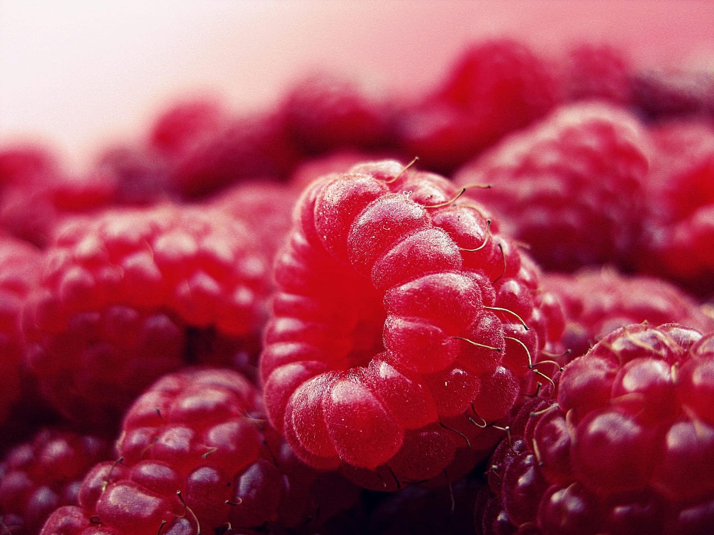 meilleurs aliments riches en fibres
