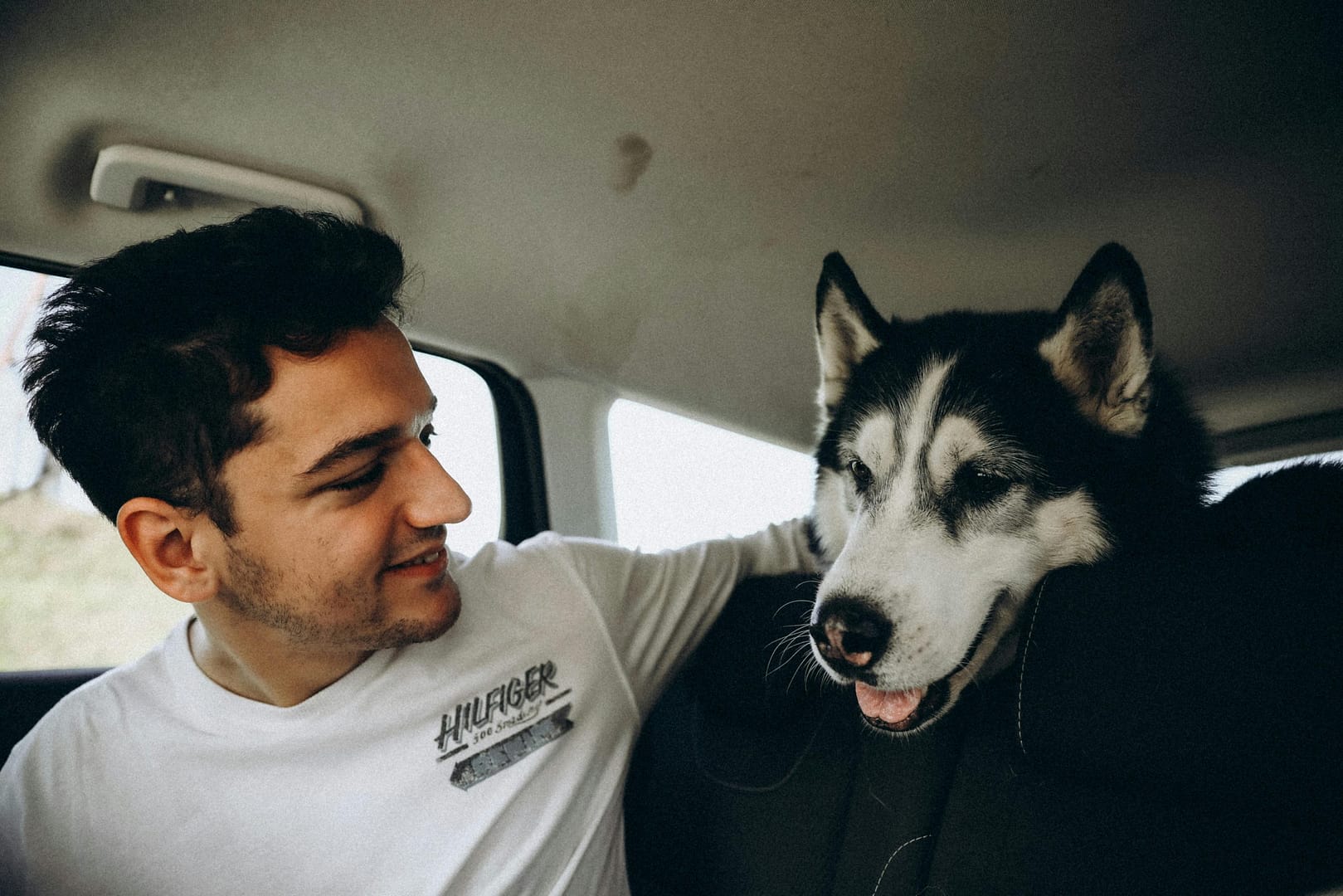 stress et anxiété chien voiture
