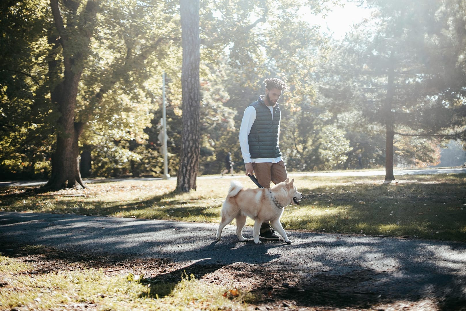 promenade en laisse ou en liberté chien